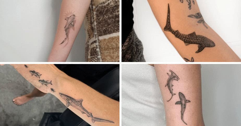 20 Jaw-Dropping Shark Tattoos You’ll Want to Pin ASAP